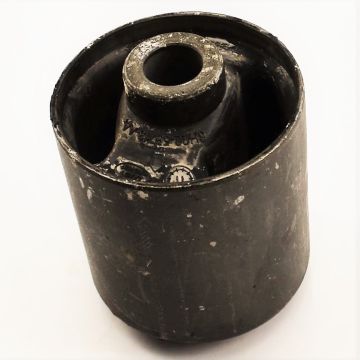 Lower Control Arm Bushing (Rear) - RGX500290