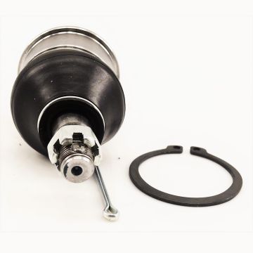 Ball Joint (Lower Set) - 51220-SM4-013 
