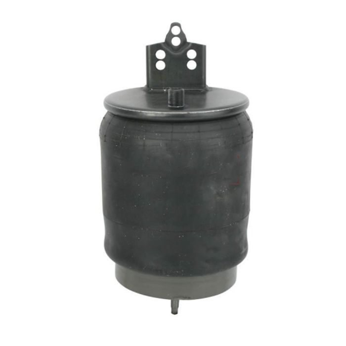 Air Springs Complete With Pistons - 787804-2C-1