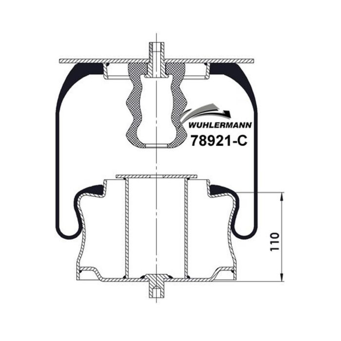 Air Springs Complete With Pistons - 78921-C