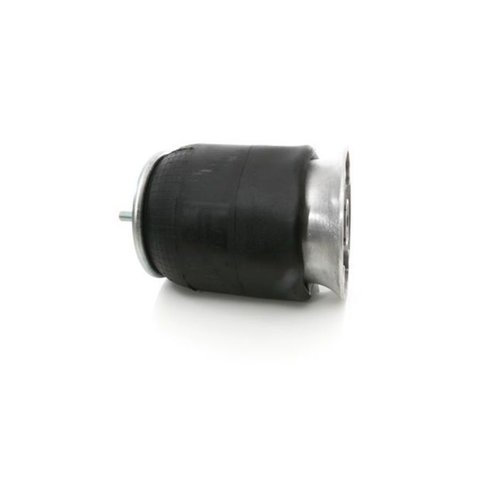 Air Springs Complete With Pistons - 789101-S