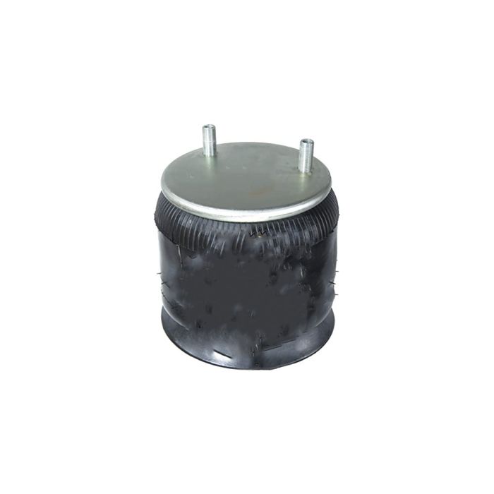 Air Spring Service Assembly - 788929-S