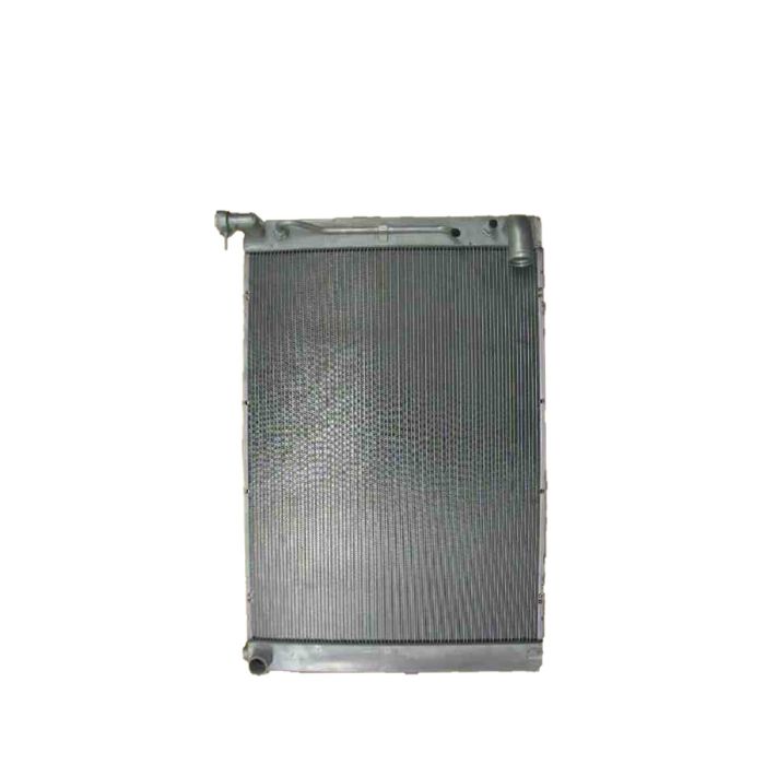 Radiator Assembly - LX3010136