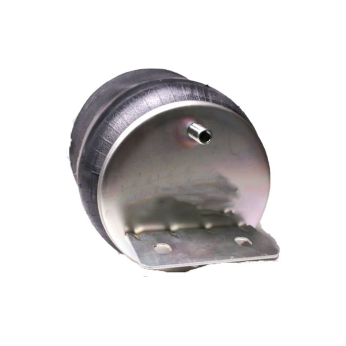 Air Springs (Complete With Pistons) - 788536-C
