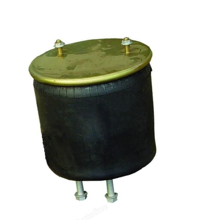 Air Springs (Complete With Pistons) - 786768-C