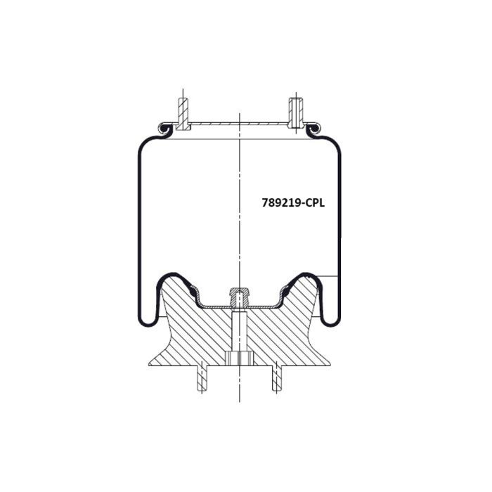Air Spring Complete With Pistons -  789875-CPL
