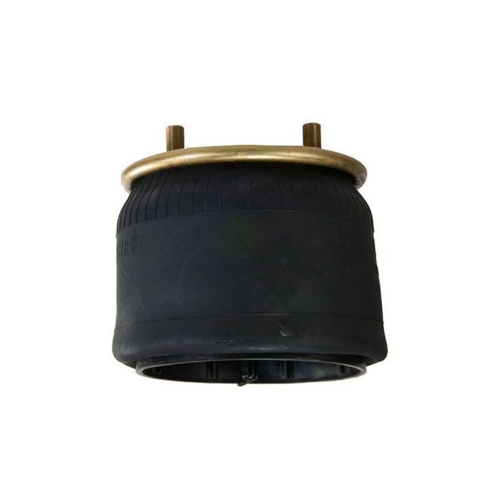 Air Springs (Complete With Pistons) - 788709-CPL