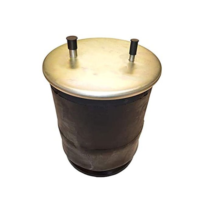 Air Springs Complete With Pistons - 785514-C