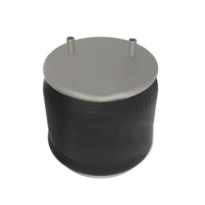 Air Springs Complete With Pistons - 788755-C