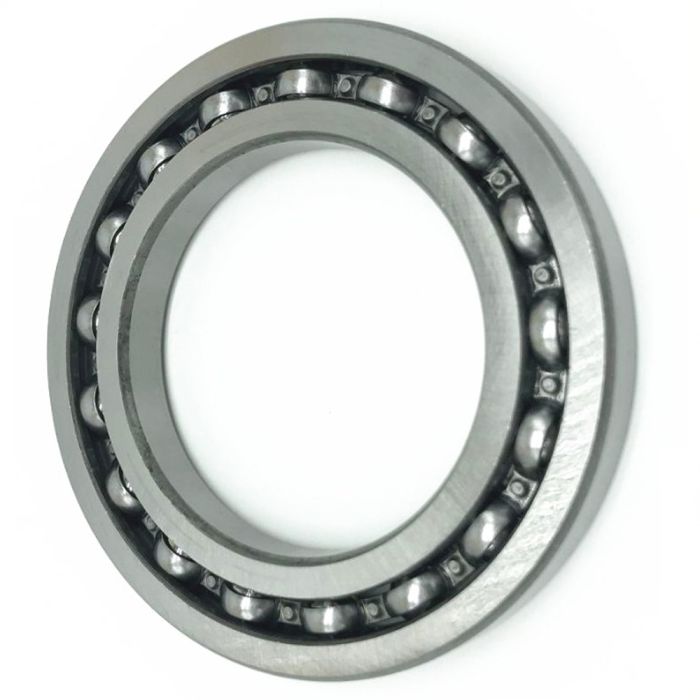 Deep Groove Ball Bearing - 6021