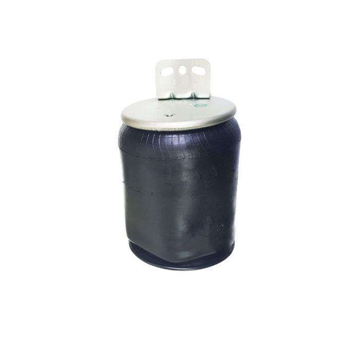 Air Spring Service Assembly - 788829-S