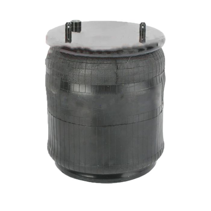 Air Spring (Complete With Piston) - 786243-C