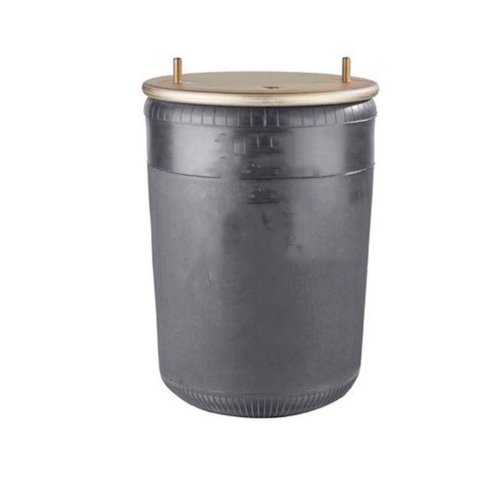 Air Spring Service Assembly - 7845053-S