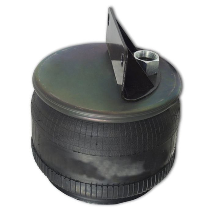 Air Springs Complete With Pistons - 789547-C