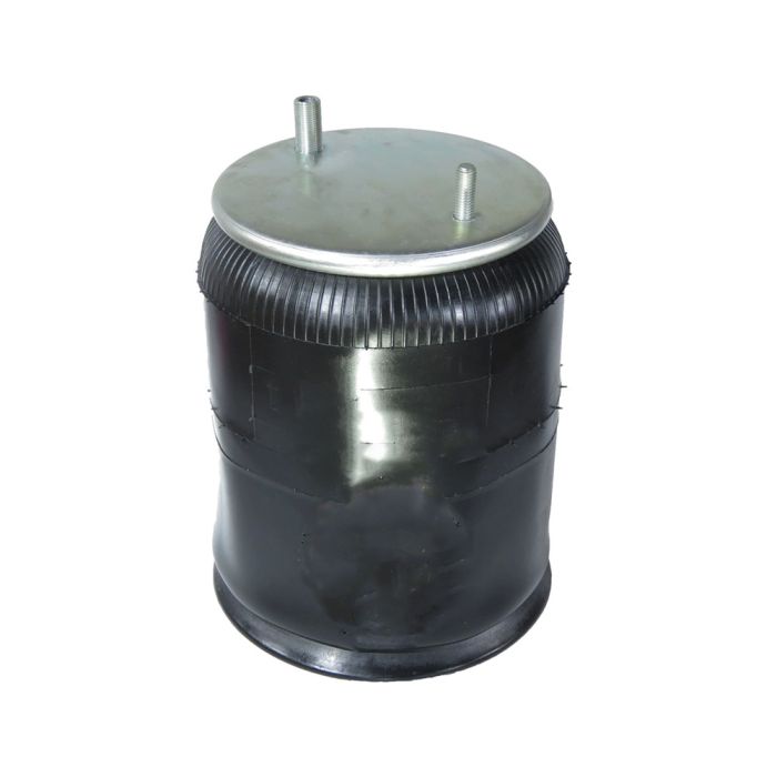 Air Springs Complete With Pistons - 789321-C