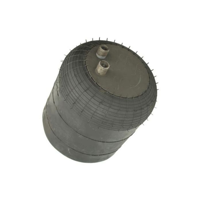 Air Springs Complete With Pistons - 784391-2C