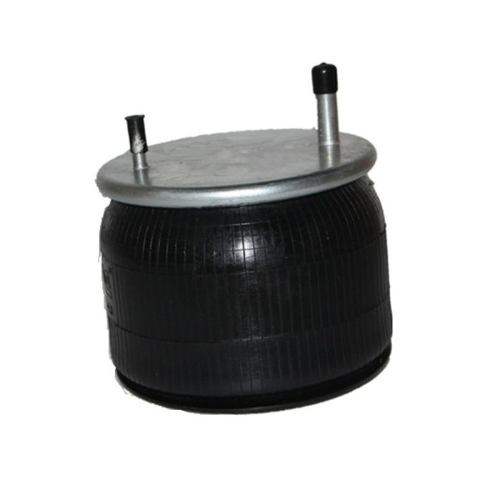Air Springs Complete With Pistons - 789422-CPL