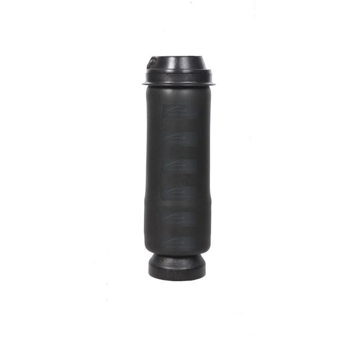 Air Springs (Cabin) - 119005-S