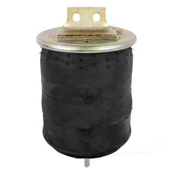 Air Springs Complete With Pistons - 7827023-C