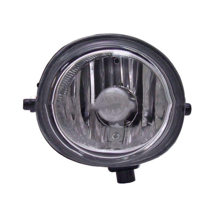 Fog Lamp (Driver's Side) - MZ250-B000L