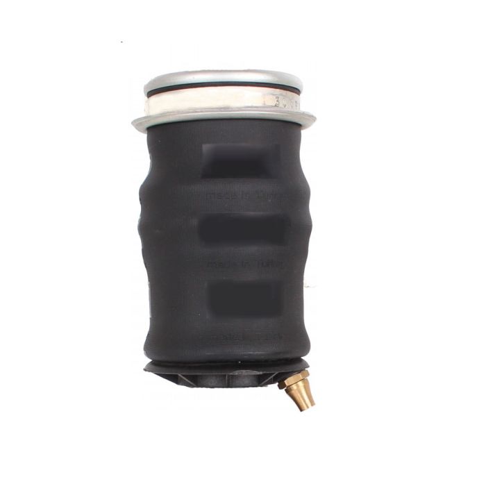 Air Springs (Cabin) -119006-S