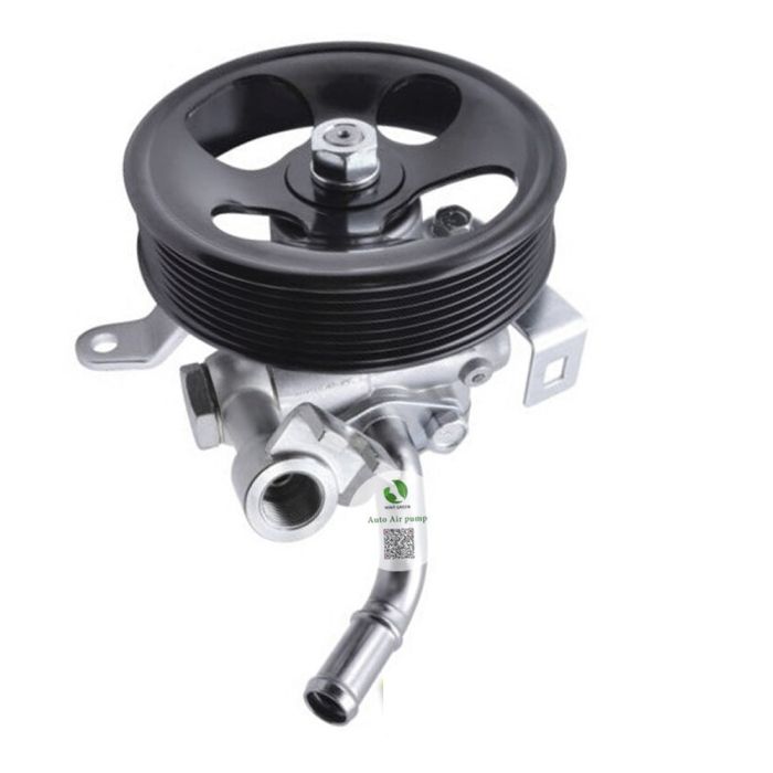 Power Steering Pump - 49110-EB000