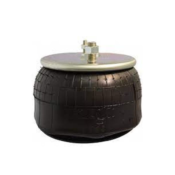 Air Springs Complete With Pistons -789039-CPL