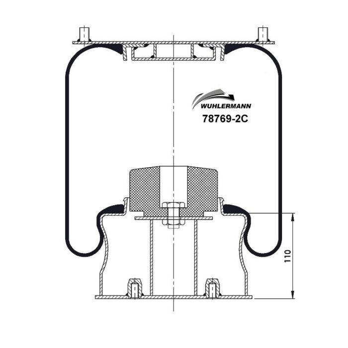 Air Springs Complete With Pistons - 78769-2C