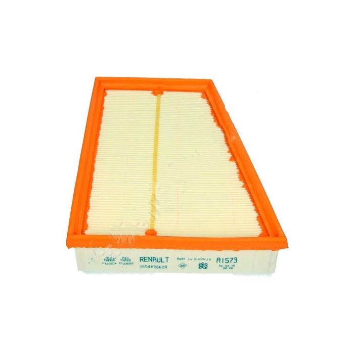 Engine Air filter - 165462862R