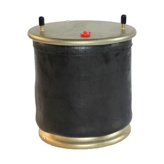Air Springs Complete With Pistons - 785319-CPL