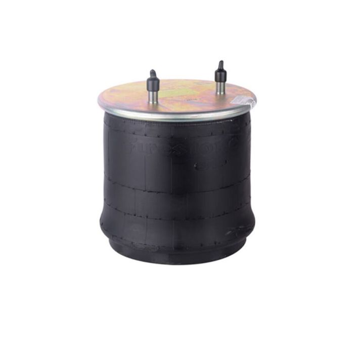 Air Springs Complete With Pistons - 784201-C