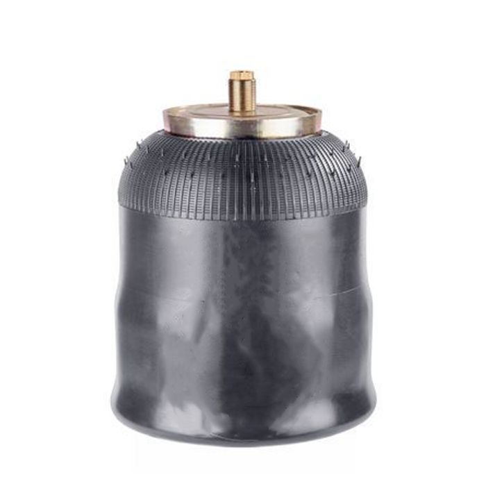 Air Springs (Complete With Piston) - 78644-6C