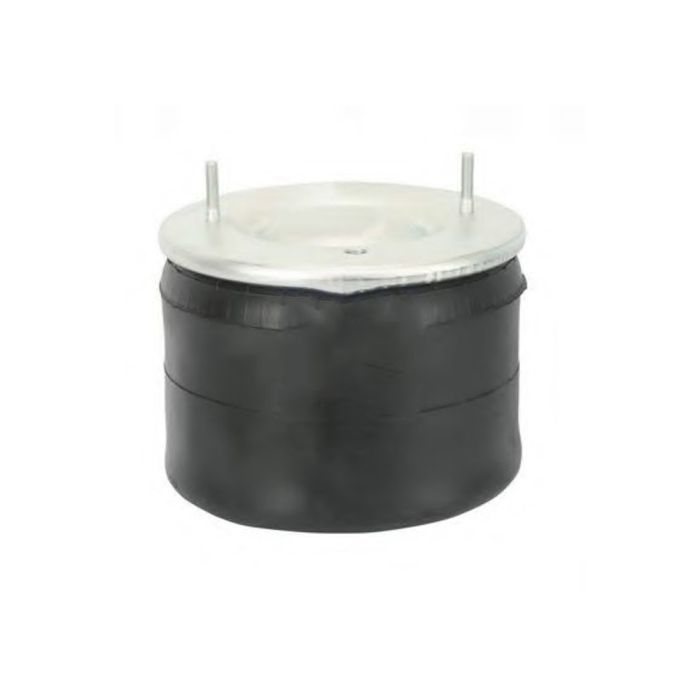Air Springs (Complete With Piston) - 786609-C