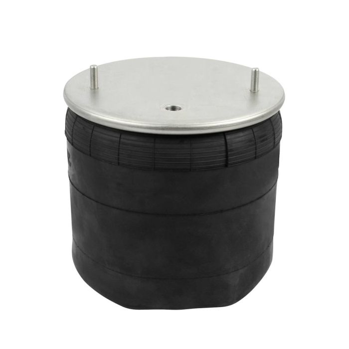 Air Springs Complete With Pistons - 78725-5C