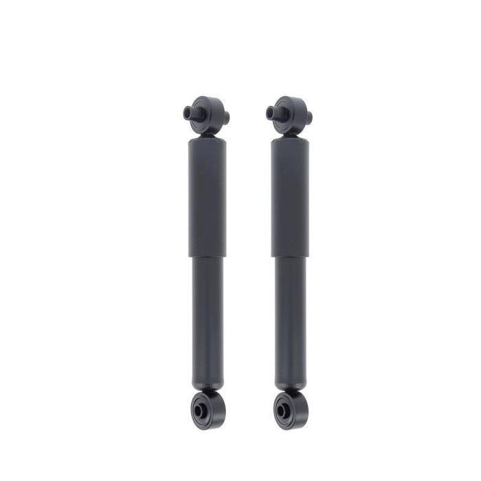 Excel-G Rear Gas Strut (SET - Right & Left) - 343183