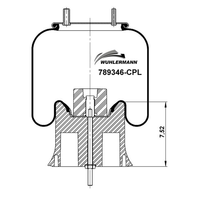 Air Springs Complete With Pistons - 789346-CPL
