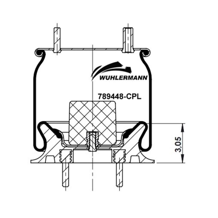 Air Springs Complete With Pistons - 789448-CPL