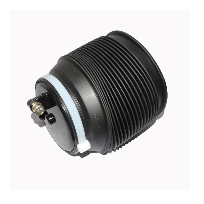 AIR SUSPENSION SPRING - 48090-60010