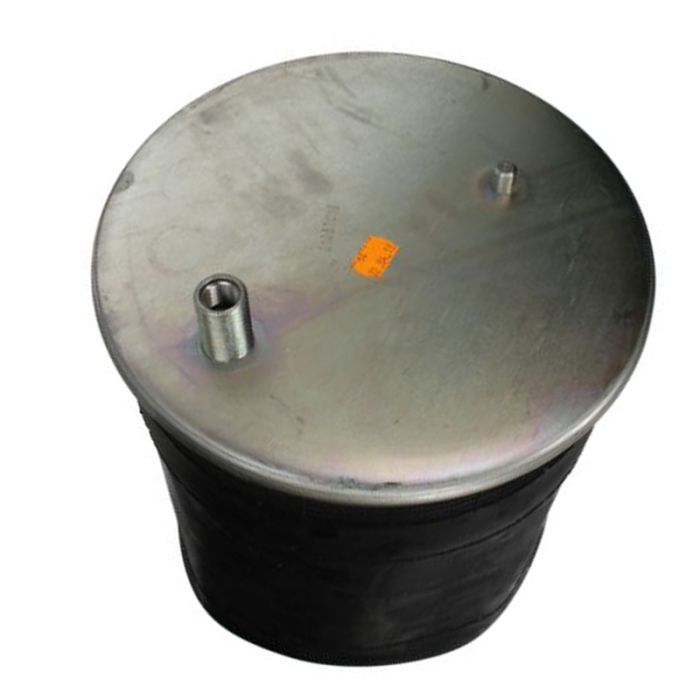 Air Spring Service Assembly - 784919-S