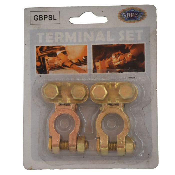 Battery Terminal (number 1) - BTN021