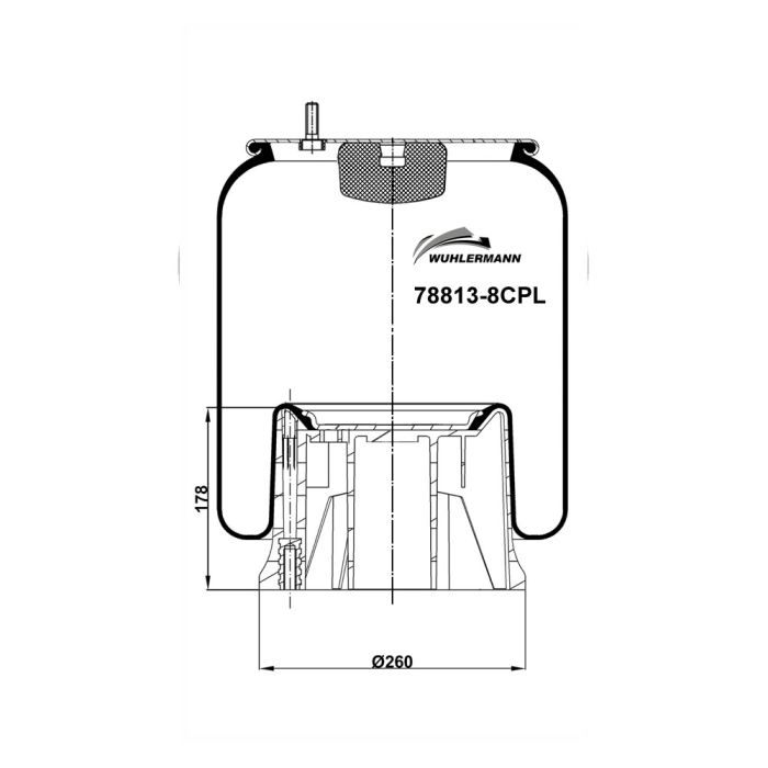 Air Springs Complete With Pistons - 78813-8CPL