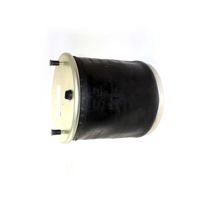 Air Springs Complete With Plastic Pistons - 784810-5CPL