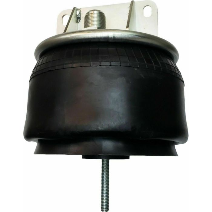 Air Springs Complete With Pistons - 789618-C