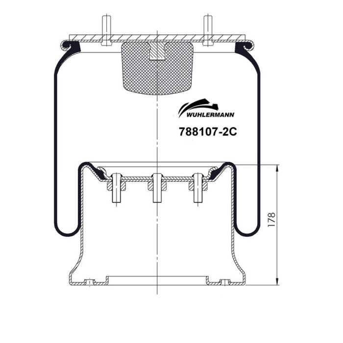Air Springs Complete With Pistons - 788107-2CPL