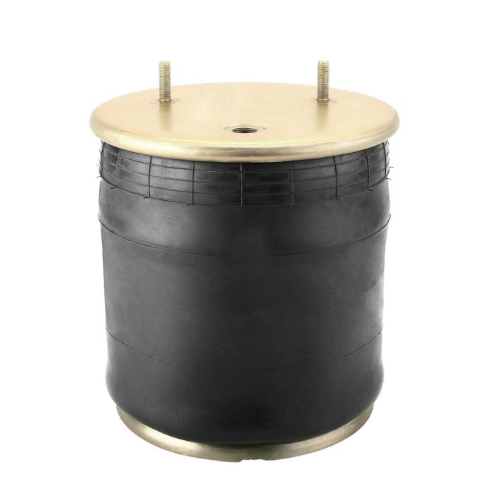 Air Springs Complete With Pistons - 788107-2CPL