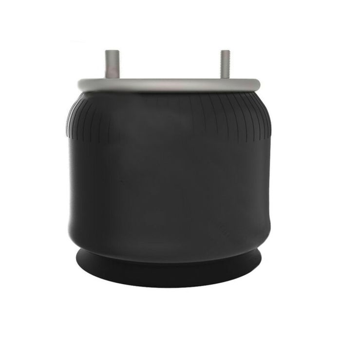 Air Springs Complete With Pistons - 789366-CPL