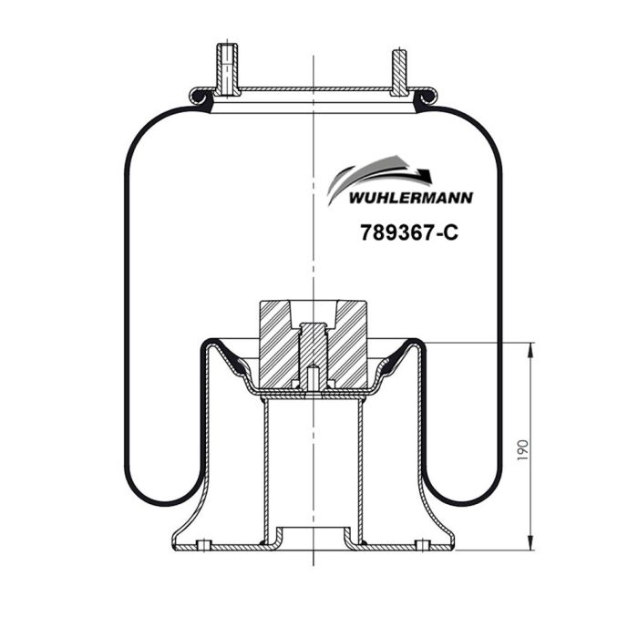 Air Springs Complete With Pistons - 789367-C