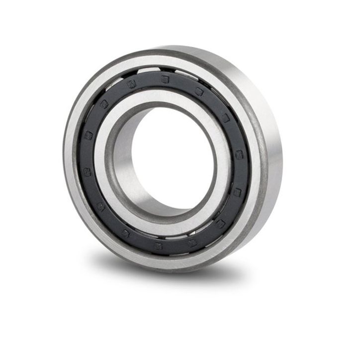 Tapered Roller Bearing - 5320