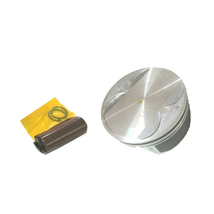 Piston W/Pin -  A2010-8J110