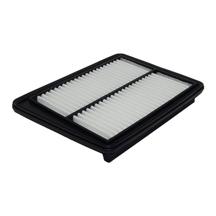Air Filter - 17801-B5010